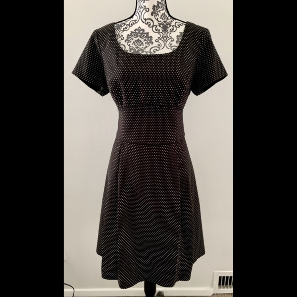 Talbots Polka Dot Knee Length Short Sleeve Dress